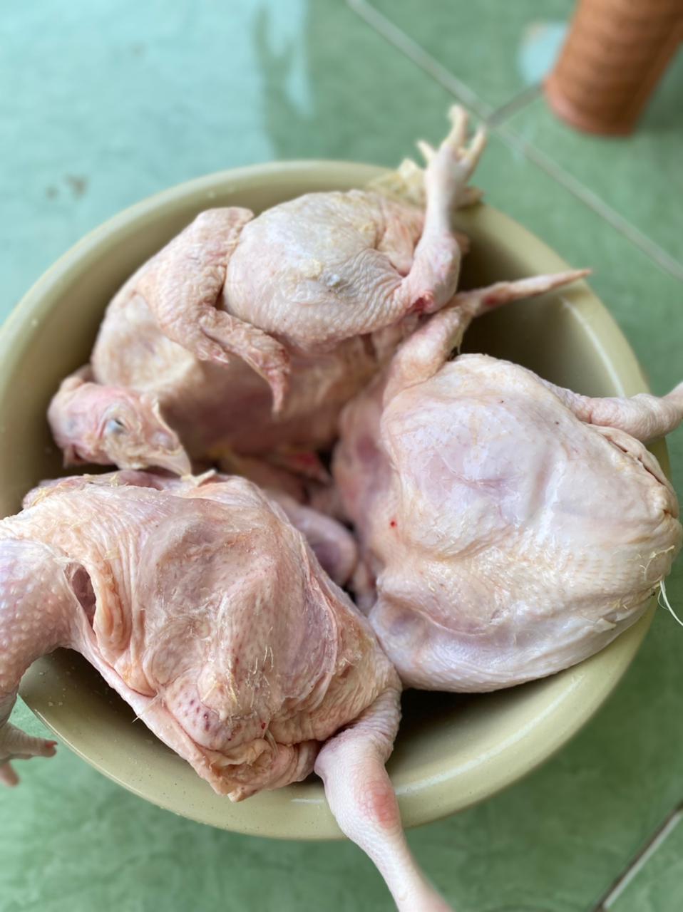 Ayam Potong Naiya